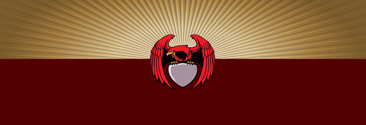 Design Layout DP20