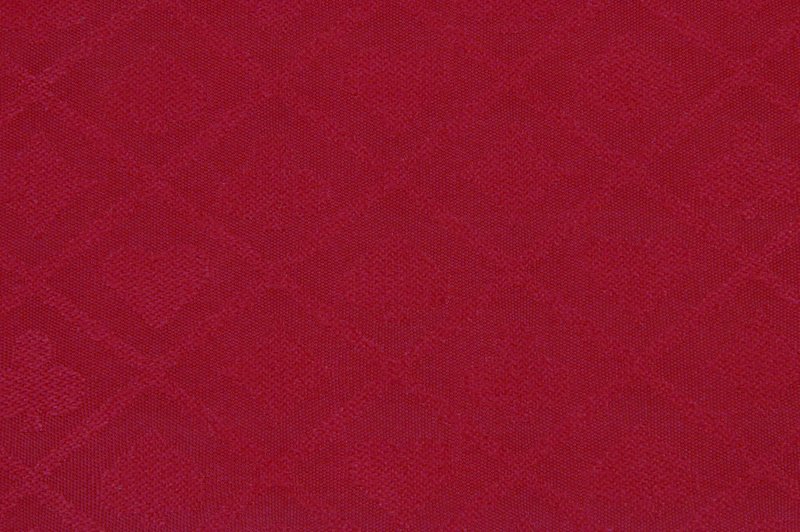 One Tone Red Suited Speed Cloth