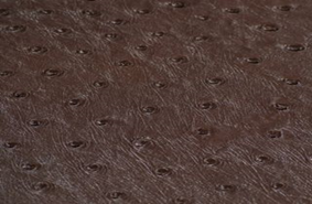 SOLA MOCHA    (BROWN)