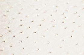 SOLA BEIGE    (NEUTRAL)