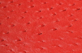 SOLA  FLAME            (RED)
