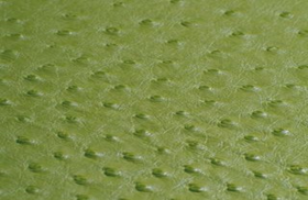 SOLA PALE LIME (GREEN)