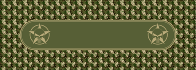 CAMO
