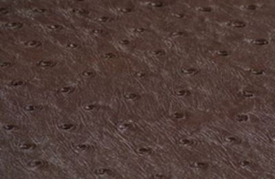 SOLA MOCHA    (BROWN)