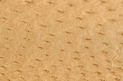 SOLA GOLD (YELLOW)