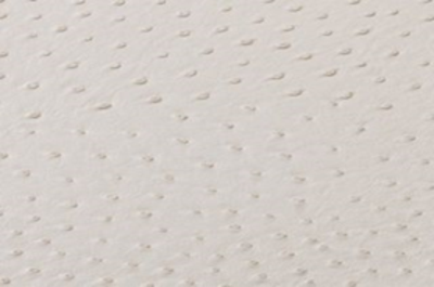 SOLA PEARL        (NEUTRAL)